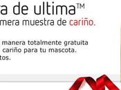 Ultima Affinity ofrece muestras comida gratis para gatos perro tamaño pequeño