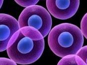 estudio células madre premiado Nobel medicina 2012