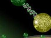 estudio receptores celulares premiado Nobel química