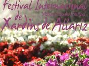 Festival Jardines Allariz: Allariz, Belleza inspira