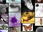 biologia