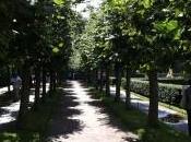 cuántos procesos selección realizado pruebas prácticas para como realizas trabajo?