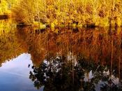 Viña Tondonia Gran Reserva tinto 1978