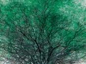 Pasos peatones verdes