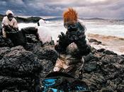 Prestige vuelve memoria