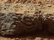 forma araña roca Marte Ismael