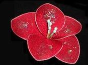 flor roja deseos
