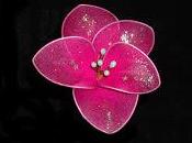 flor deseos rosa