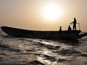 pirogue (Goor Fitt), Senegal 2012