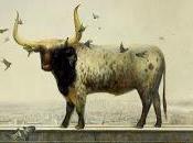 Martin Wittfooth