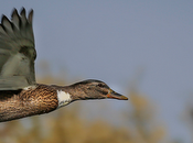 Domingo cierre ciclo: resumen