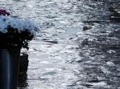 ¿lunes… soñando, nuevo?