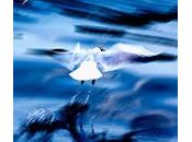 ReflecXion