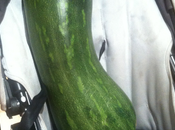 mayores niños siempre dicen verdad