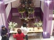 Cuando señor milagros llega universidad...