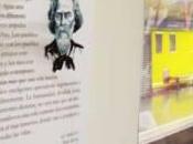 Libros calle