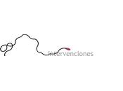 Conmigo cuentes. Intervenciones