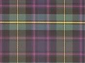 #Plaid todo tipo accesorios