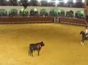 Videos: Festejo Rejones Almadén