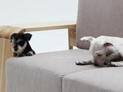 “Dog house Sofa”, para cuando mascota necesite descansar
