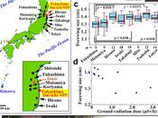 JAPON: efectos biológicos accidente nuclear Fukushima, mutaciones genéticas mariposas