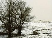 nieve otros complementos circunstanciales, Xuan Bello