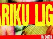 Bariku Light review