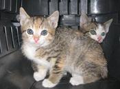 Alguien emparedó vivos. tenemos compensarlo.