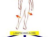 Tolerancia aclimatación frío