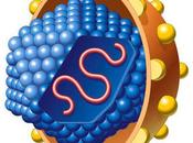 Hepatitis