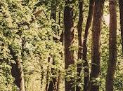 Battery nuevas imágenes