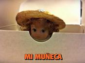 Concebida segundo