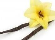 Cuando olía vainilla.