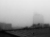 Brumes brouillard