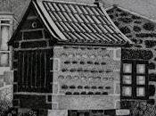 Museo puntos