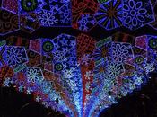 Danzad, danzad, malditos