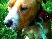 Taller Danza ¡FUSIÓN INDIA!