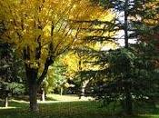 Calidad aire, salud movilidad sostenible