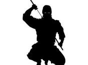 Innovacion ninja: lecciones sobre intraemprendimiento