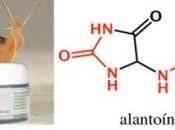 baba caracol beneficio piel