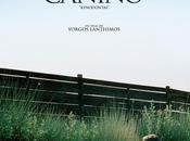 Canino (Giorgos Lanthimos, 2.009)