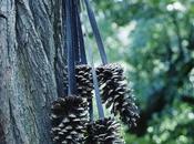 Dulce navidad....deco