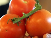Luchar contra cáncer tomates. Tomates para salud corazón