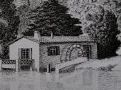 Museo puntos