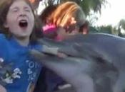 Delfín muerde mano niña (vídeo)