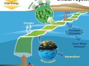 proyecto NASA para producir biocombustible sostenible