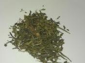 verde ejercicio