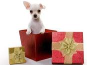 ¿Regalar perro? ¡Sí! Algunos consejos prácticos