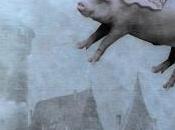 Ahorro falsos amigos