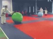 Premio profesor artes marciales año, para…este…